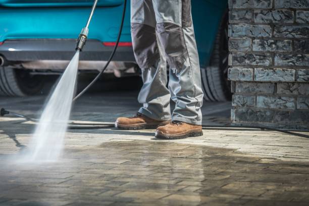  Roseau, MN Pressure Washing Pros